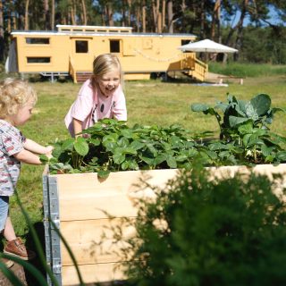 NAWALO Waldkindergartenwagen 4